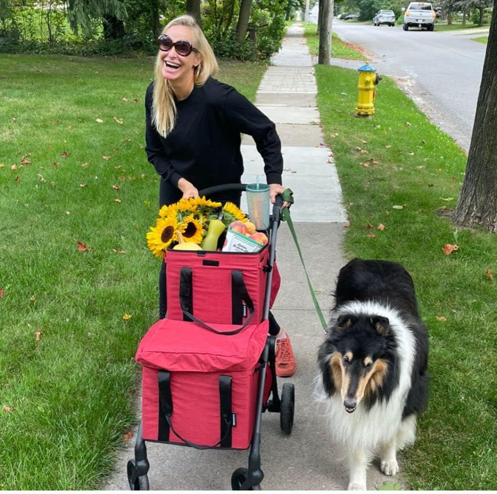 VOOMcart Personal Collapsible Grocery Cart with Wheels and Removable Baskets