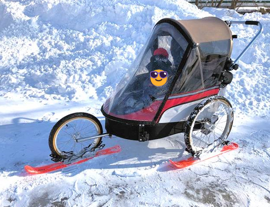 WIKE Bicycle Trailer with after-market ski adapters.